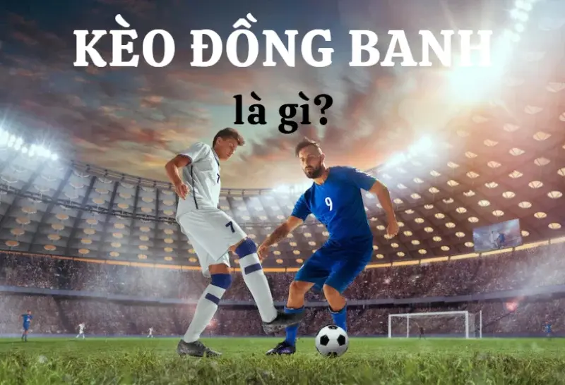 Chi tiết về kèo đồng banh tại 77win